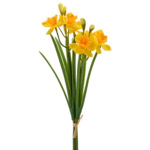 Påskelilje bund a 2 gul h 32cm