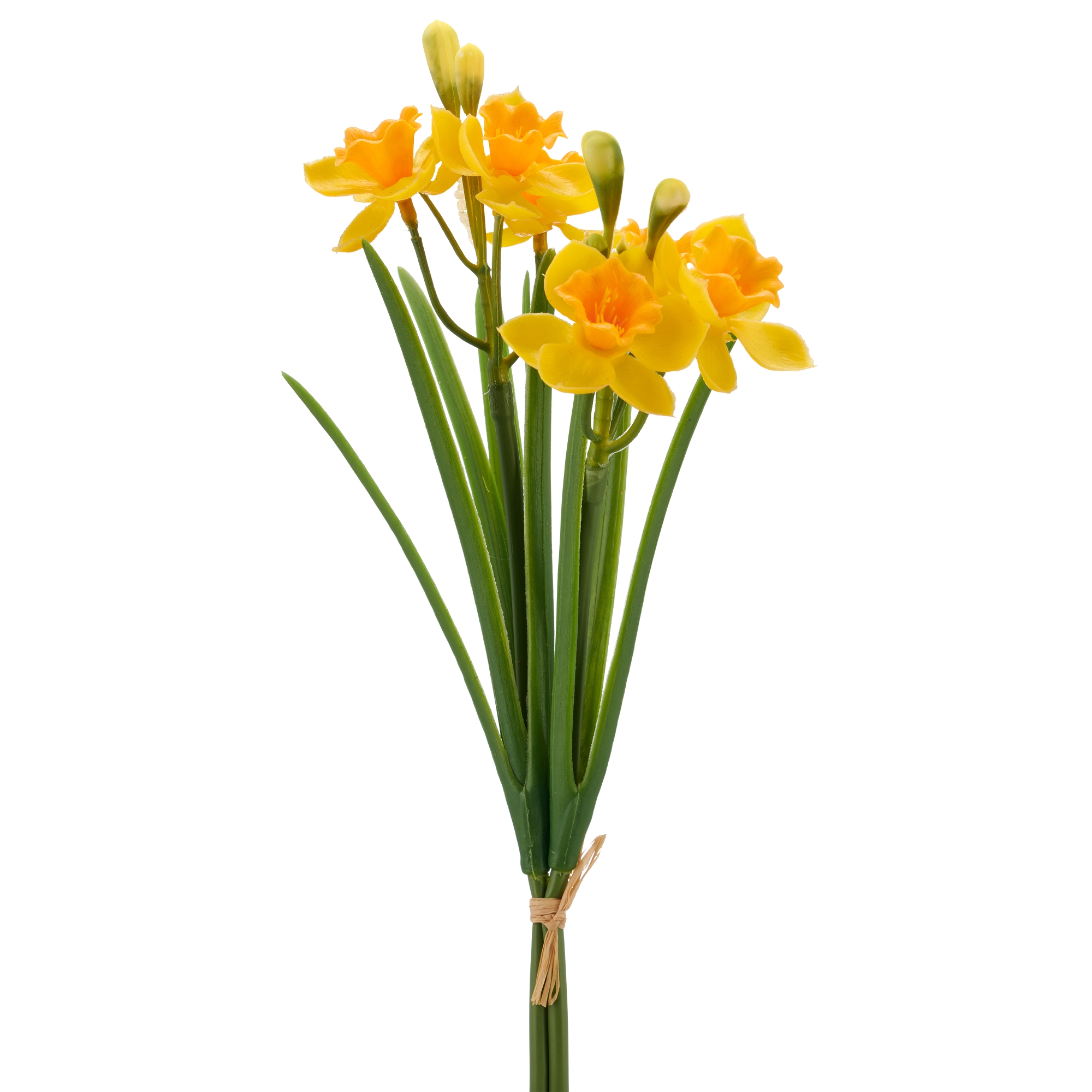 Påskelilje bund a 2 gul h 32cm