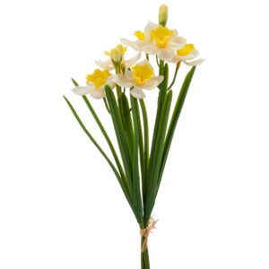 Påskelilje bund a 2 hvid/gul h 32cm