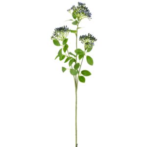 Viburnum gren blå h 55cm