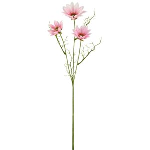 Daisy marguerit rosa h 63cm
