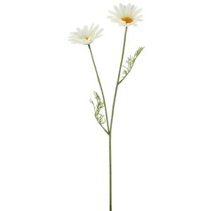 Daisy marguerit hvid h 57cm