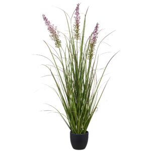 Pennisetum græs i potte h 100cm