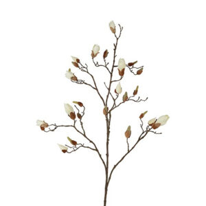Magnolia gren hvid h 108 cm
