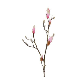 Magnolia gren rosa h 88 cm