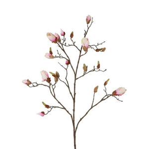 Magnolia gren rosa h 108 cm