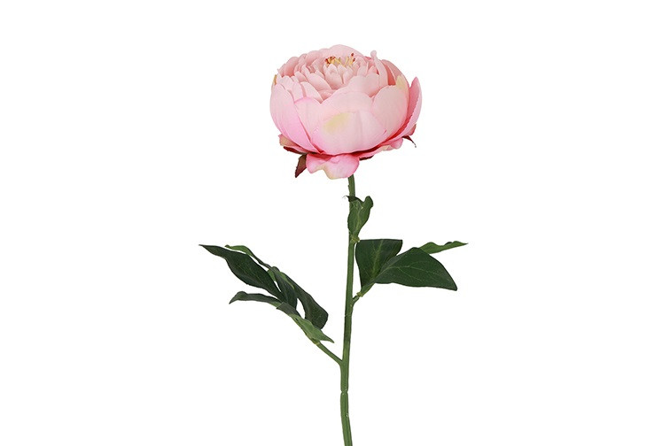 Peony lys rosa h 48cm