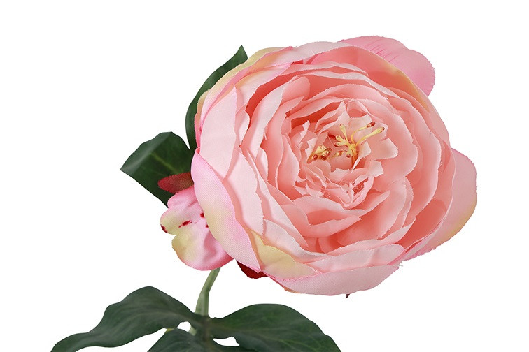 Peony lys rosa h 48cm - Billede 2