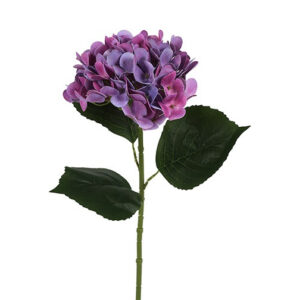 Hortensia lilla h 65 cm