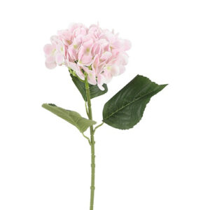 Hortensia lys rosa h 65 cm