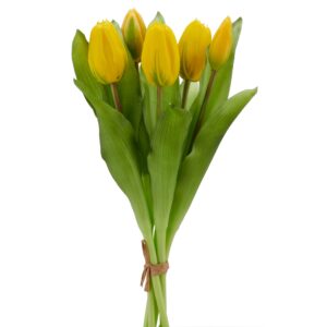 Tulipan bundt 5 stk gul h 32 cm