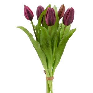 Tulipan bundt 5 stk purple h 32 cm