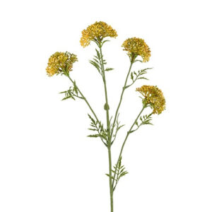 Skærmblomst gul H 72 cm