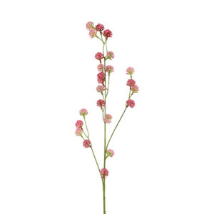 Trifolium  gren  pink 89 cm