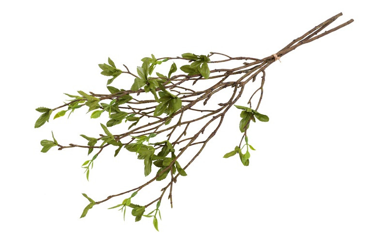 Betula bundt 3 stk h 56 cm - Billede 2