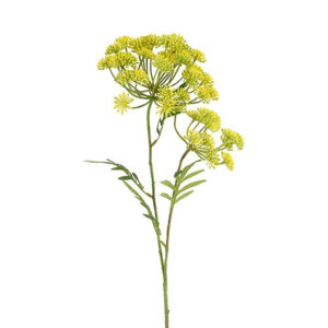 Anethum gul h 85 cm