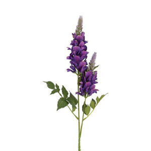 Lupin purple h 77 cm