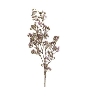 Conyza purple h 78 cm