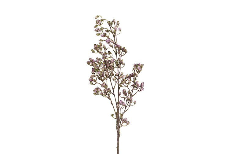 Conyza purple h 78 cm