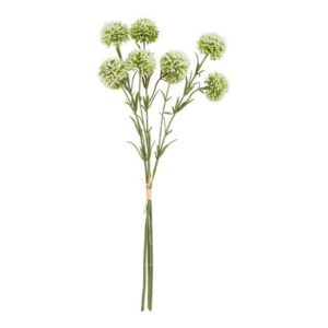 Allium hvid bundt 3 stk h 46 cm