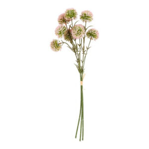 Allium rose bundt 3 stk h 46 cm