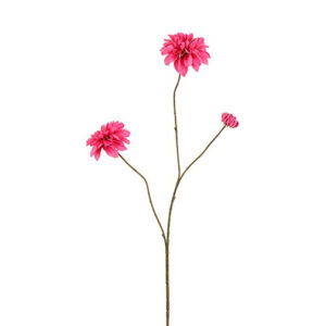 Dahlia pink H 80 cm