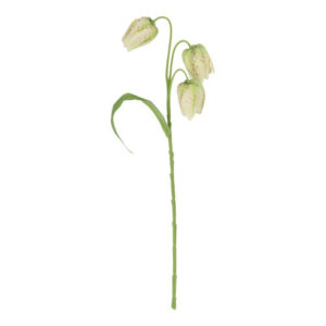 Vibeæg grøn/hvid h 33 cm