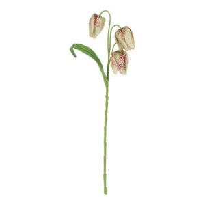 Vibeæg muliticolor h 33 cm