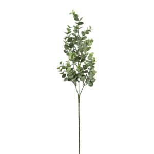 Eucalyptus gren h 69 cm