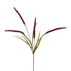 Græs bordeaux H 94 cm.